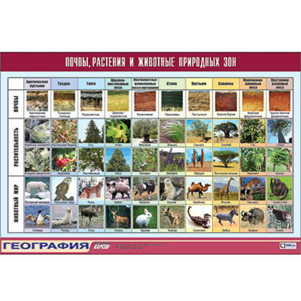 Таблица демонстрационная "Почвы, растения и животные природных зон" (винил 70x100) Артикул: 9460